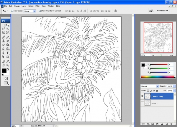 Creation of Rain Forest: Step 1